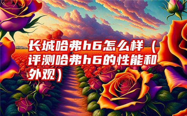 长城哈弗h6怎么样（评测哈弗h6的性能和外观）