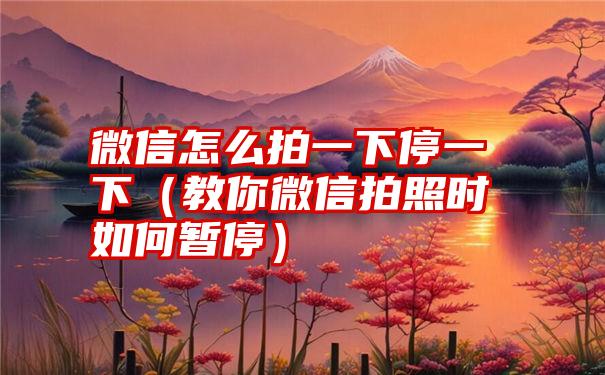 微信怎么拍一下停一下（教你微信拍照时如何暂停）