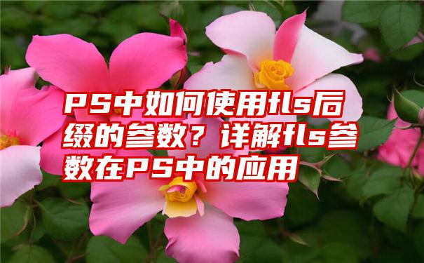 PS中如何使用fls后缀的参数？详解fls参数在PS中的应用