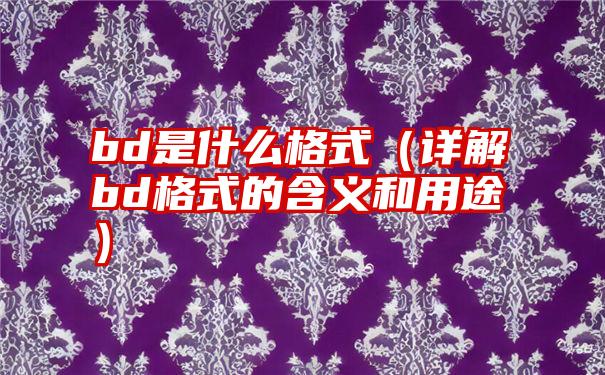 bd是什么格式（详解bd格式的含义和用途）