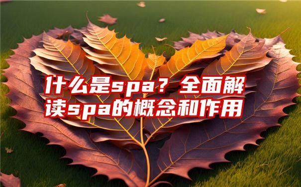 什么是spa？全面解读spa的概念和作用