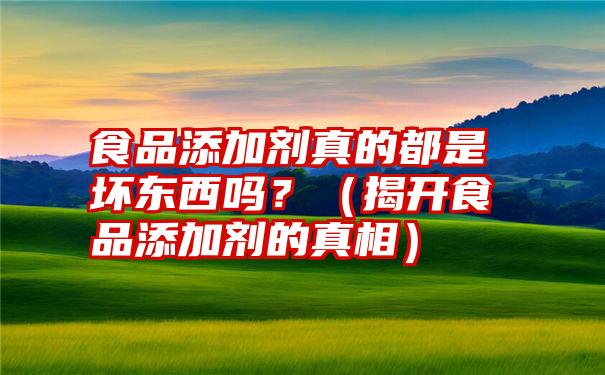 食品添加剂真的都是坏东西吗？（揭开食品添加剂的真相）