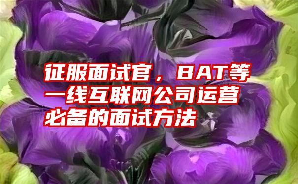 征服面试官，BAT等一线互联网公司运营必备的面试方法