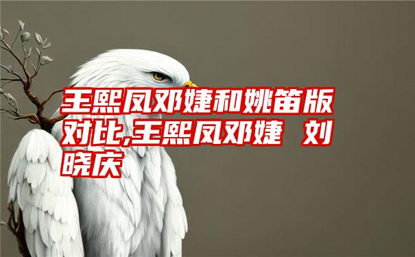 王熙凤邓婕和姚笛版对比,王熙凤邓婕 刘晓庆