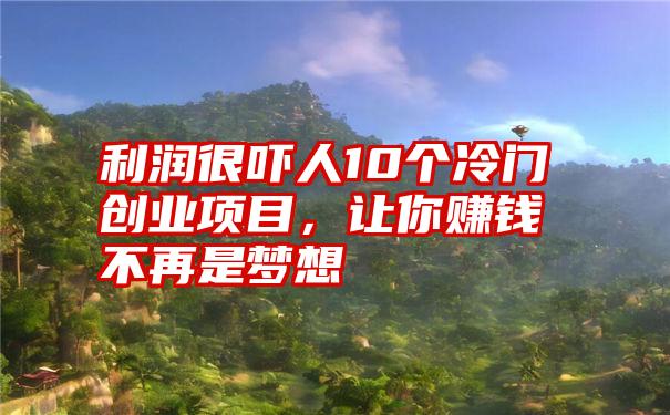 利润很吓人10个冷门创业项目，让你赚钱不再是梦想