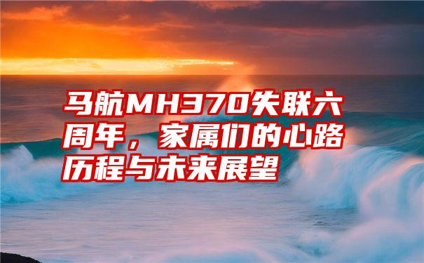 马航MH370失联六周年，家属们的心路历程与未来展望