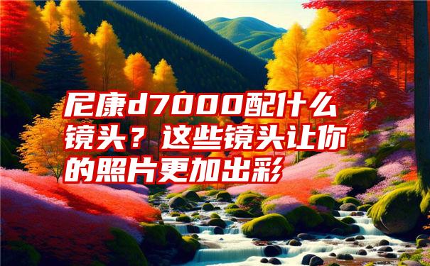 尼康d7000配什么镜头？这些镜头让你的照片更加出彩