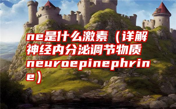 ne是什么激素（详解神经内分泌调节物质neuroepinephrine）