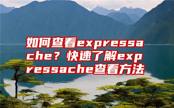 如何查看expressache？快速了解expressache查看方法