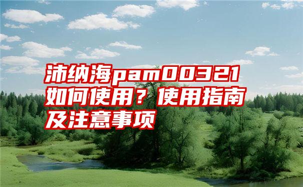 沛纳海pam00321如何使用？使用指南及注意事项