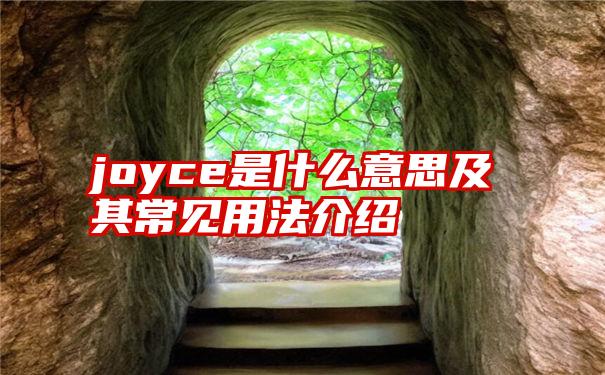 joyce是什么意思及其常见用法介绍