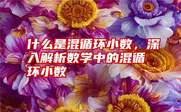 什么是混循环小数，深入解析数学中的混循环小数