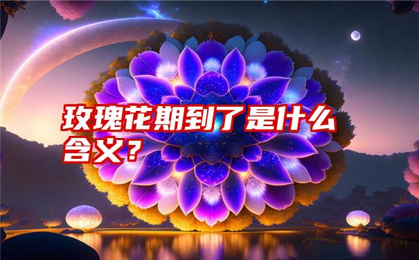 玫瑰花期到了是什么含义？