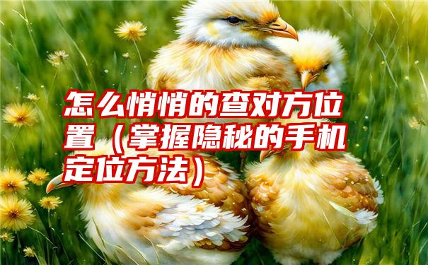 怎么悄悄的查对方位置（掌握隐秘的手机定位方法）