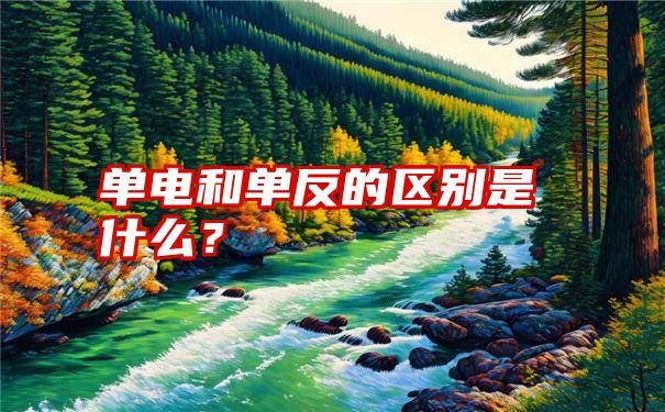 单电和单反的区别是什么？