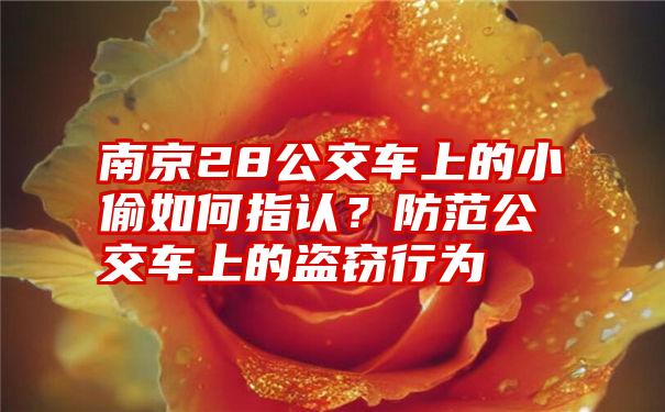 南京28公交车上的小偷如何指认？防范公交车上的盗窃行为