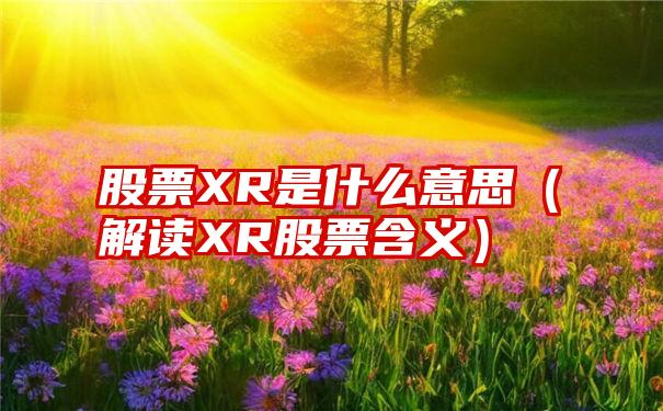 股票XR是什么意思（解读XR股票含义）