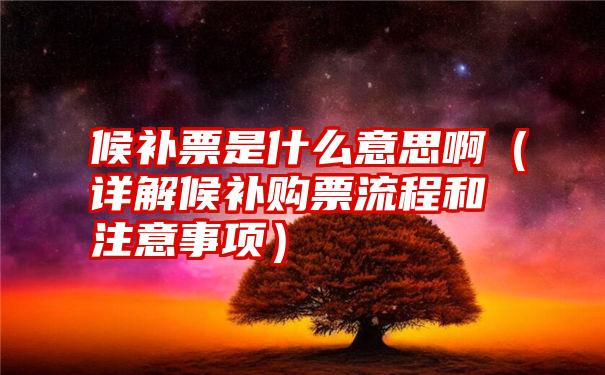 候补票是什么意思啊（详解候补购票流程和注意事项）