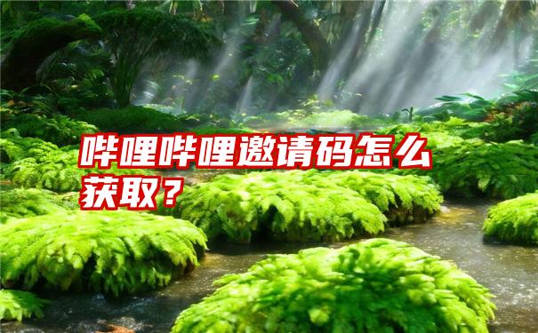 哔哩哔哩邀请码怎么获取？