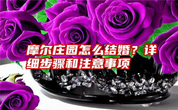 摩尔庄园怎么结婚？详细步骤和注意事项