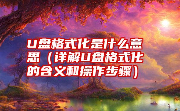 U盘格式化是什么意思（详解U盘格式化的含义和操作步骤）