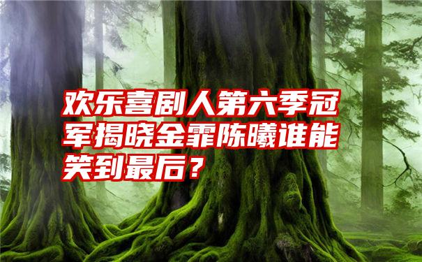 欢乐喜剧人第六季冠军揭晓金霏陈曦谁能笑到最后？