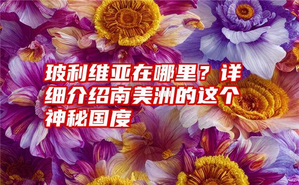 玻利维亚在哪里？详细介绍南美洲的这个神秘国度