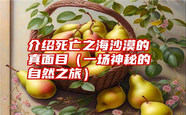 介绍死亡之海沙漠的真面目（一场神秘的自然之旅）