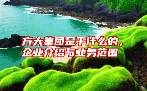 方大集团是干什么的，企业介绍与业务范围