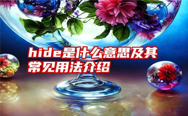 hide是什么意思及其常见用法介绍