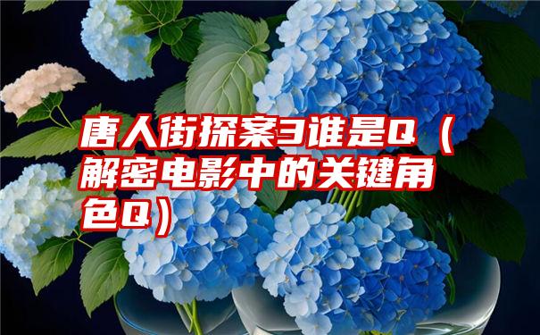 唐人街探案3谁是Q（解密电影中的关键角色Q）