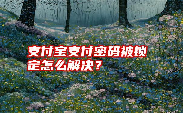 支付宝支付密码被锁定怎么解决？