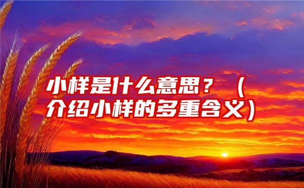 小样是什么意思？（介绍小样的多重含义）