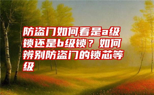 防盗门如何看是a级锁还是b级锁？如何辨别防盗门的锁芯等级