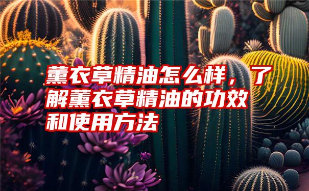 薰衣草精油怎么样，了解薰衣草精油的功效和使用方法