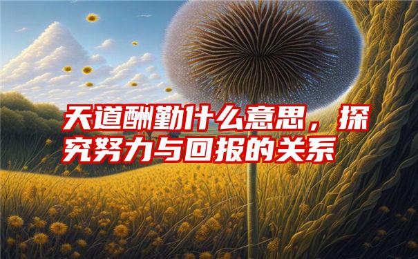 天道酬勤什么意思，探究努力与回报的关系