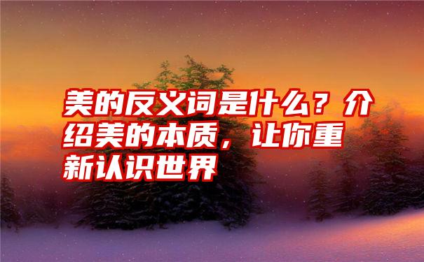 美的反义词是什么？介绍美的本质，让你重新认识世界