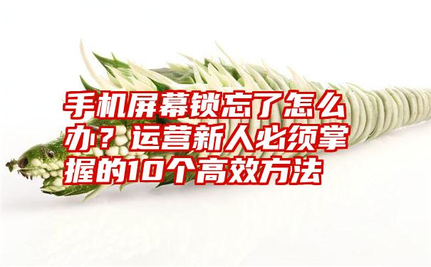 手机屏幕锁忘了怎么办？运营新人必须掌握的10个高效方法