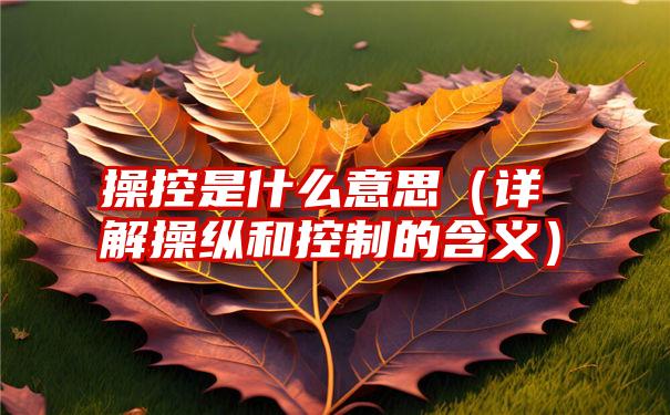 操控是什么意思（详解操纵和控制的含义）