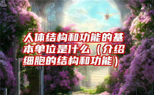 人体结构和功能的基本单位是什么（介绍细胞的结构和功能）