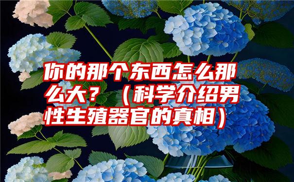 你的那个东西怎么那么大？（科学介绍男性生殖器官的真相）