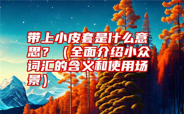 带上小皮套是什么意思？（全面介绍小众词汇的含义和使用场景）