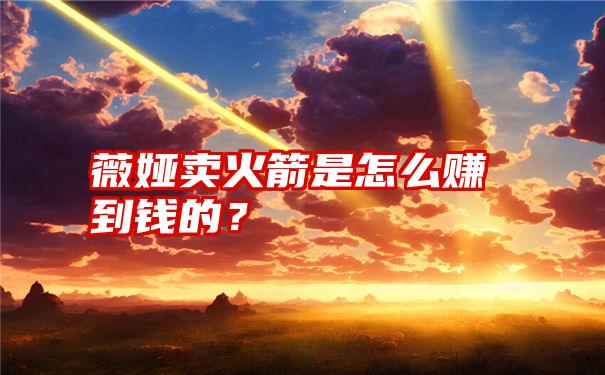 薇娅卖火箭是怎么赚到钱的？