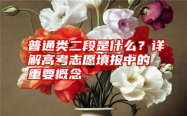 普通类二段是什么？详解高考志愿填报中的重要概念