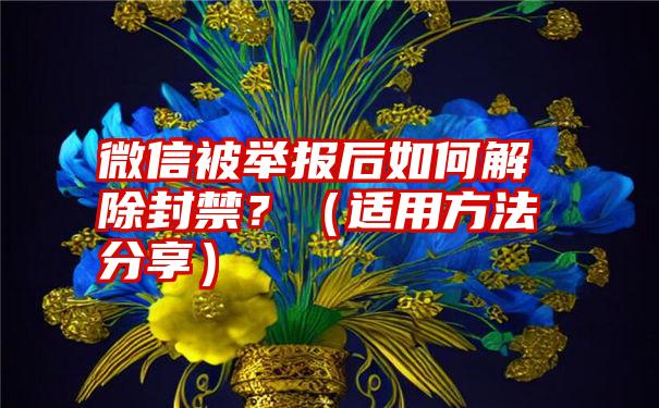 微信被举报后如何解除封禁？（适用方法分享）