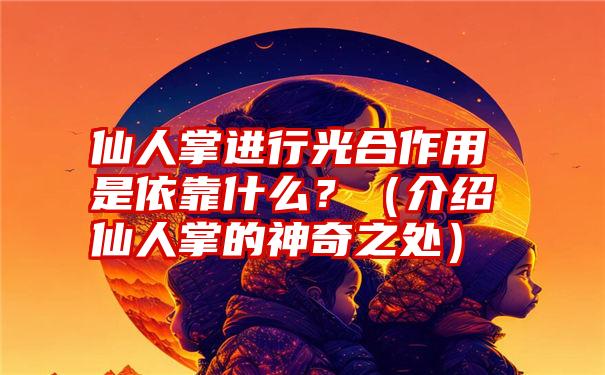 仙人掌进行光合作用是依靠什么？（介绍仙人掌的神奇之处）