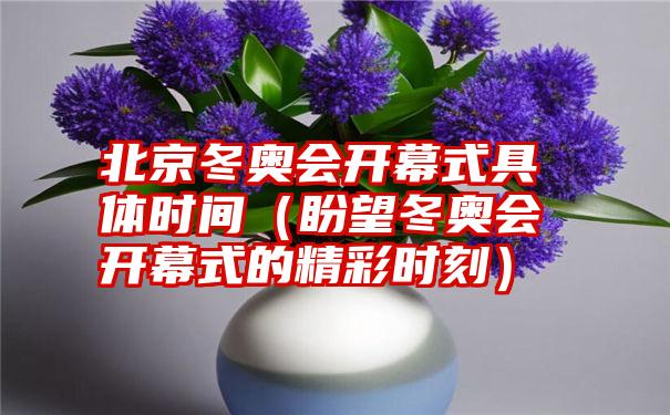 北京冬奥会开幕式具体时间（盼望冬奥会开幕式的精彩时刻）