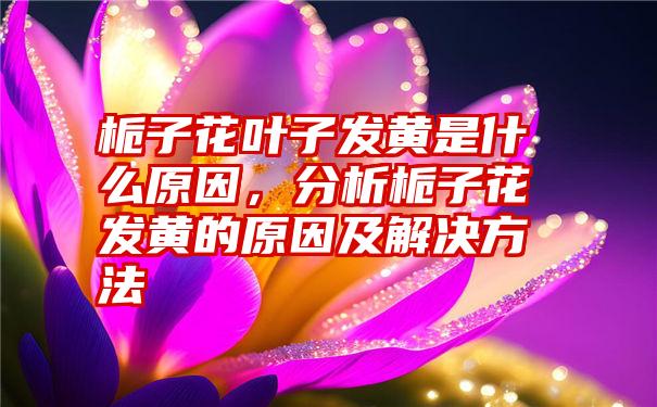 栀子花叶子发黄是什么原因，分析栀子花发黄的原因及解决方法