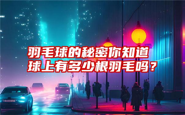 羽毛球的秘密你知道球上有多少根羽毛吗？