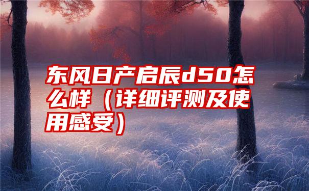 东风日产启辰d50怎么样（详细评测及使用感受）